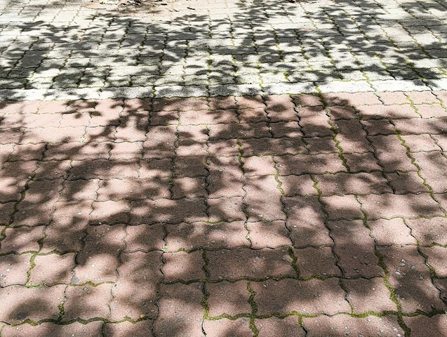 木漏れ日
