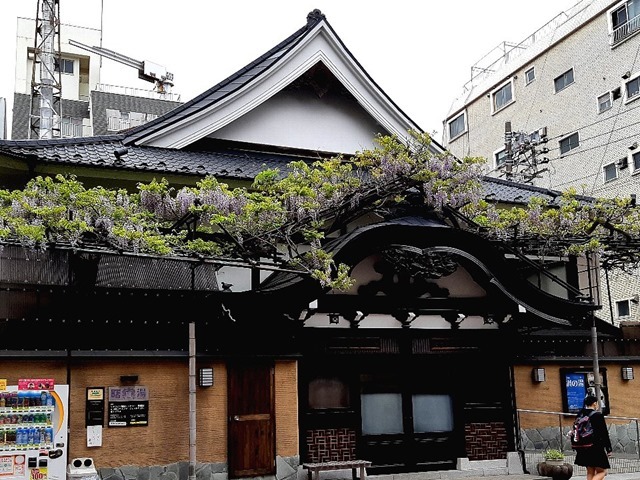 曙湯と藤の花