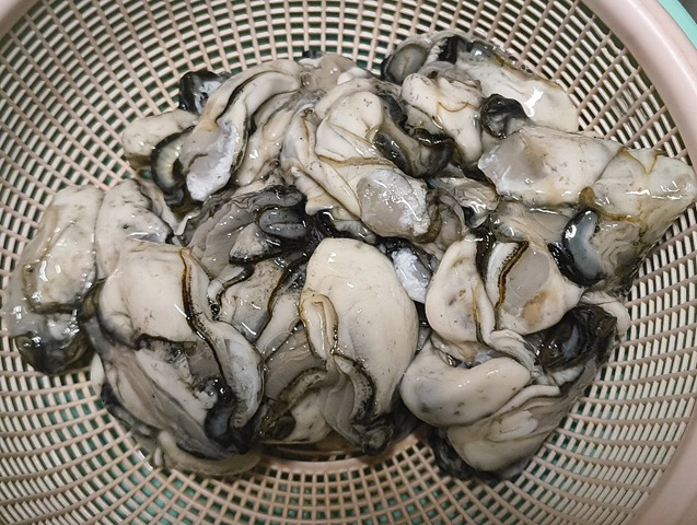 サロマ湖のかき（むき身）