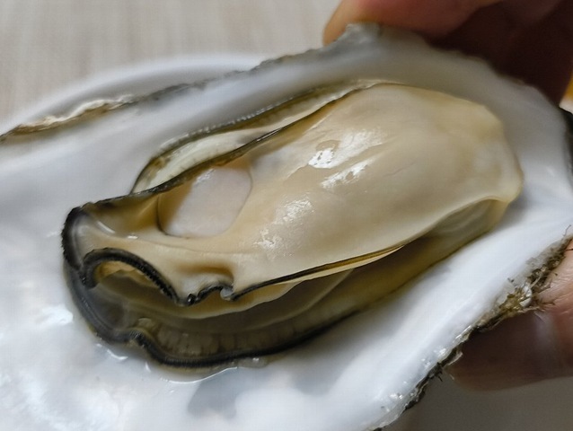 蒸しかきを食べる