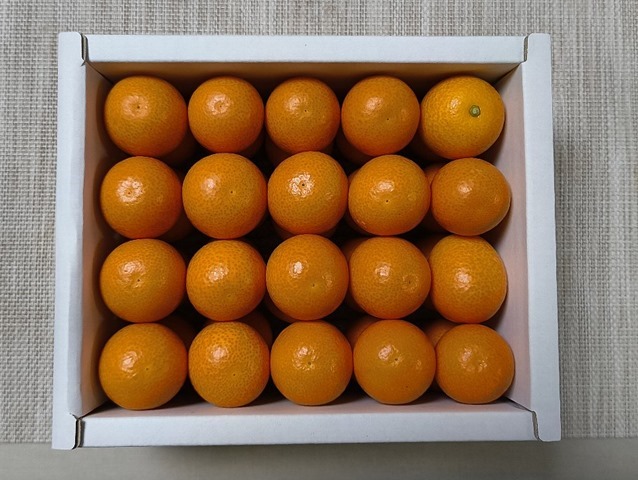4×5×2=40