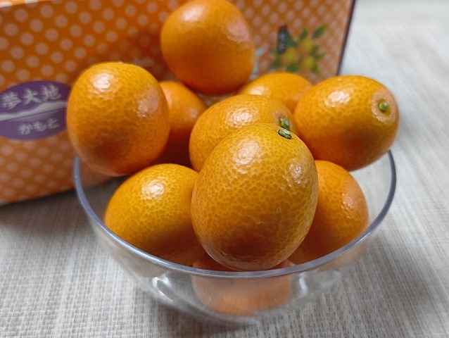 究極きんかん「夢小町」