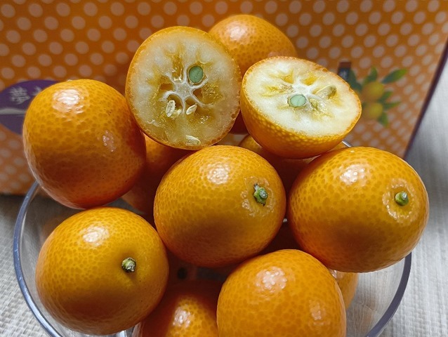 究極きんかん「夢小町」