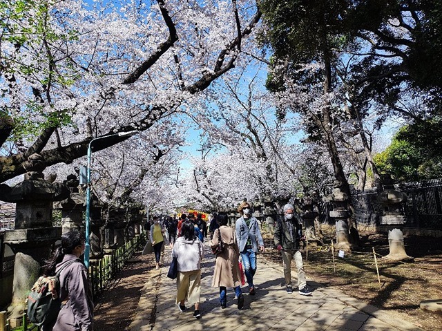 上野東照宮参道